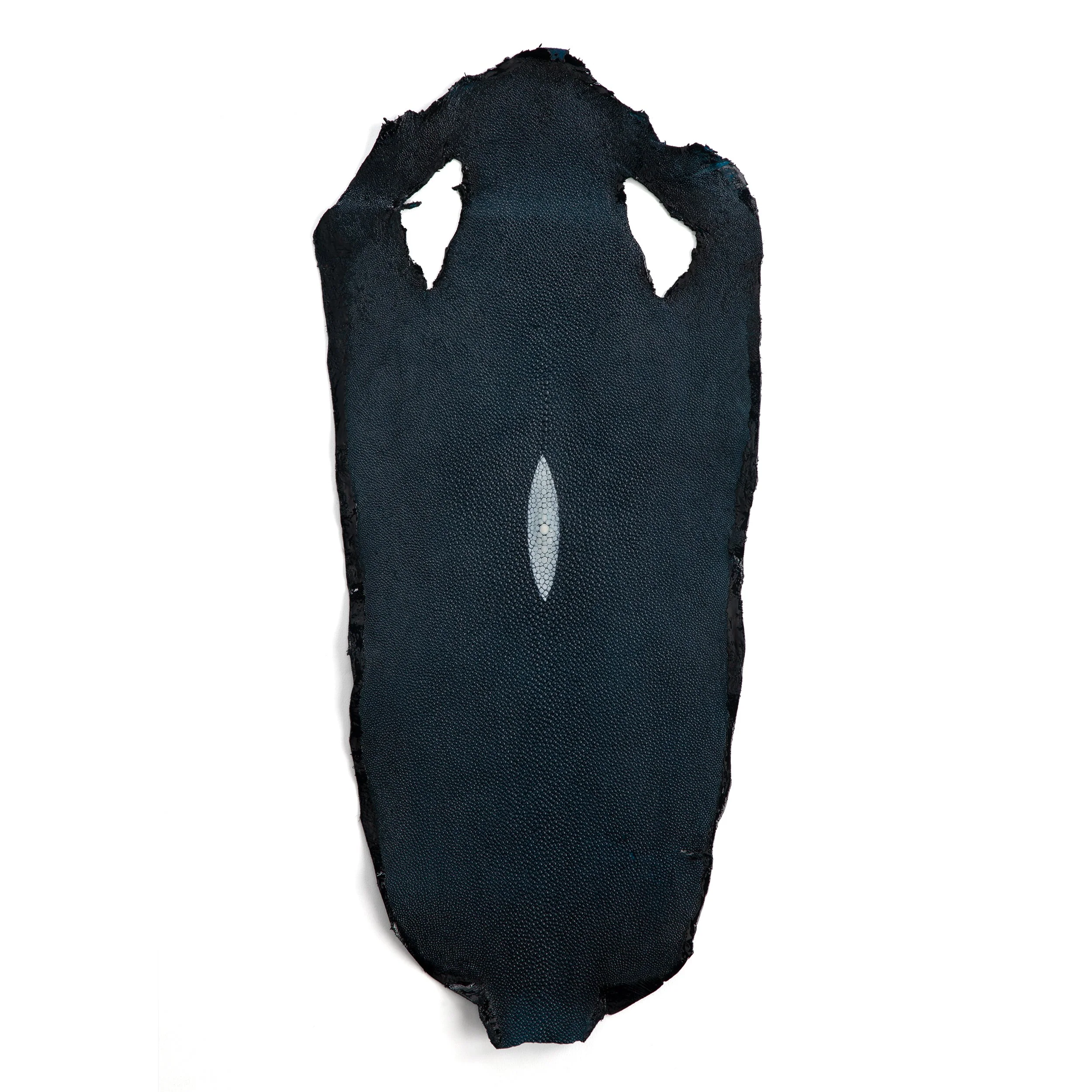 Stingray Small Skin - Image 16
