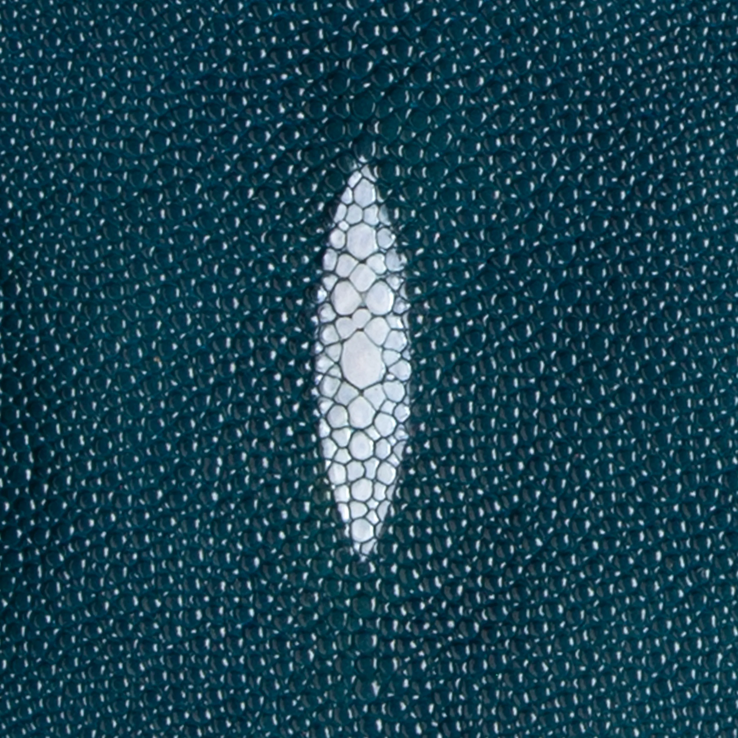 Stingray Small Skin - Image 20