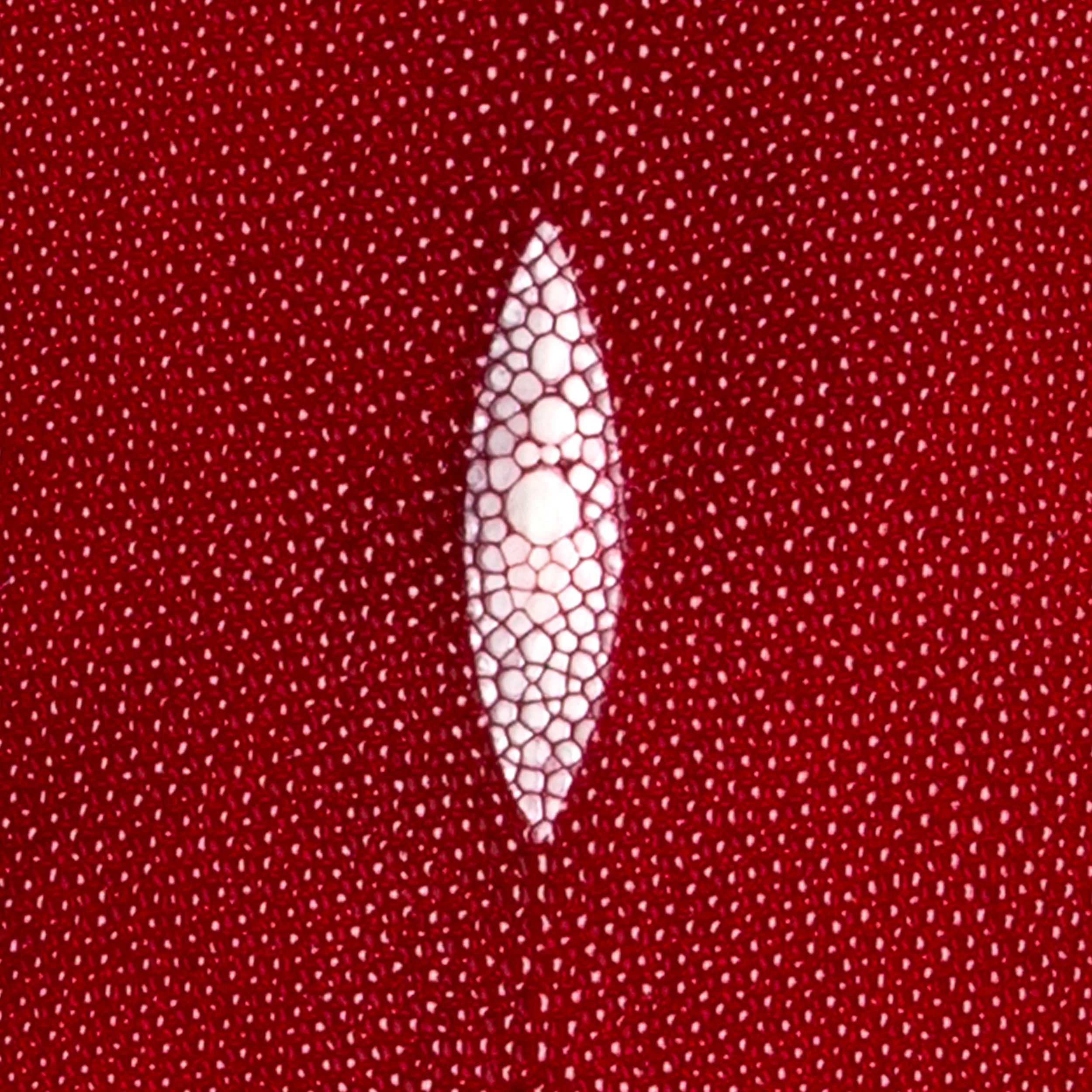 Stingray Small Skin - Image 21
