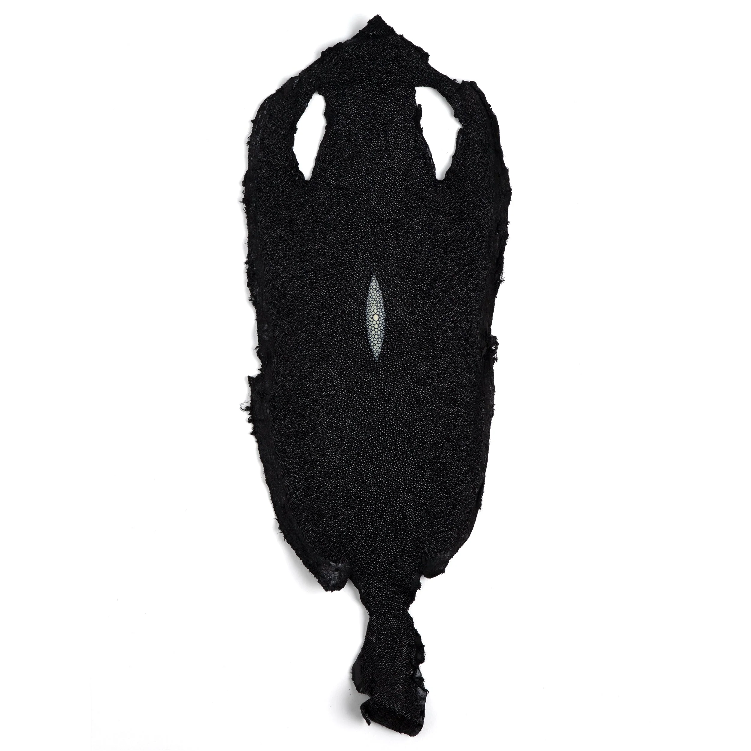Stingray Small Skin - Image 4