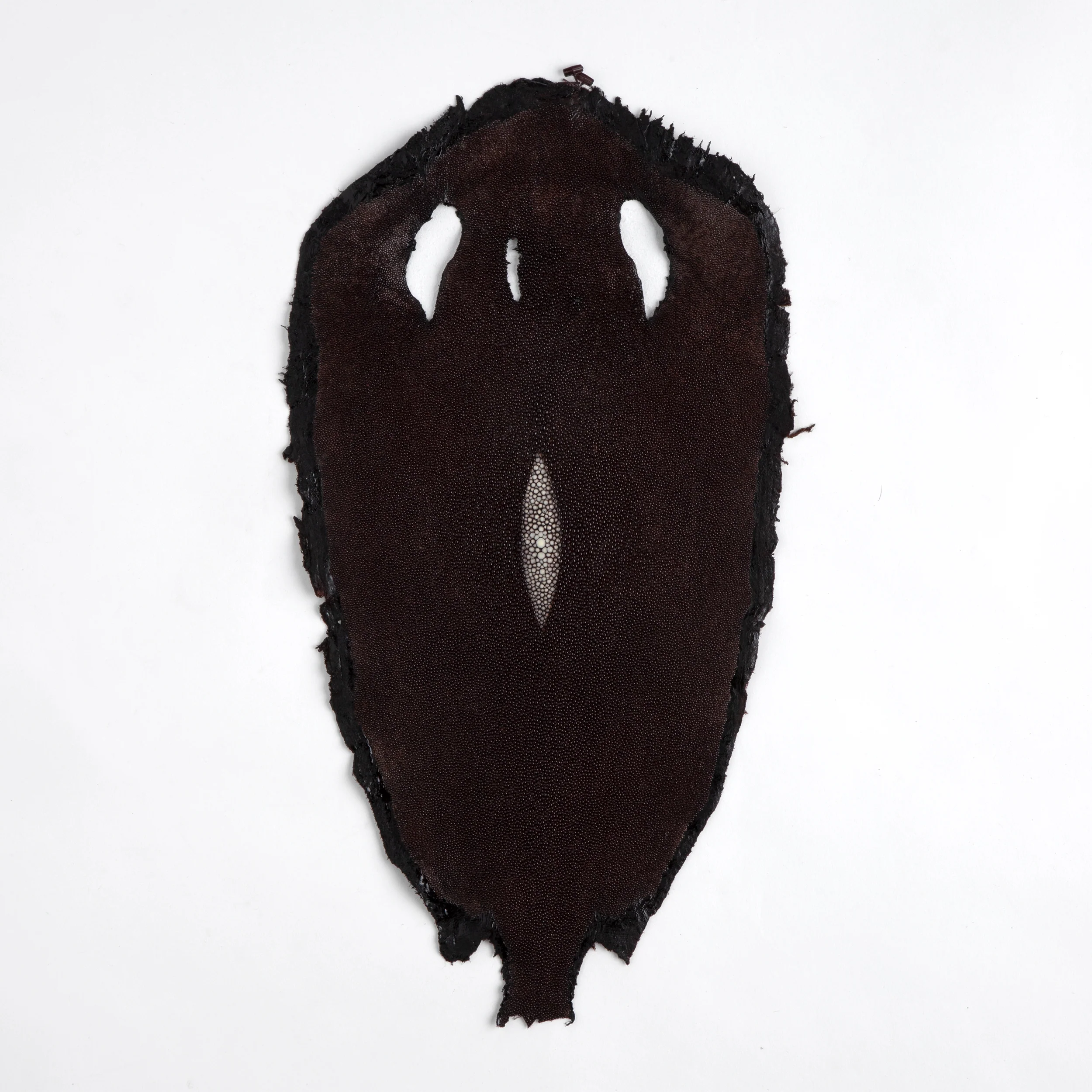 Stingray Small Skin - Image 6