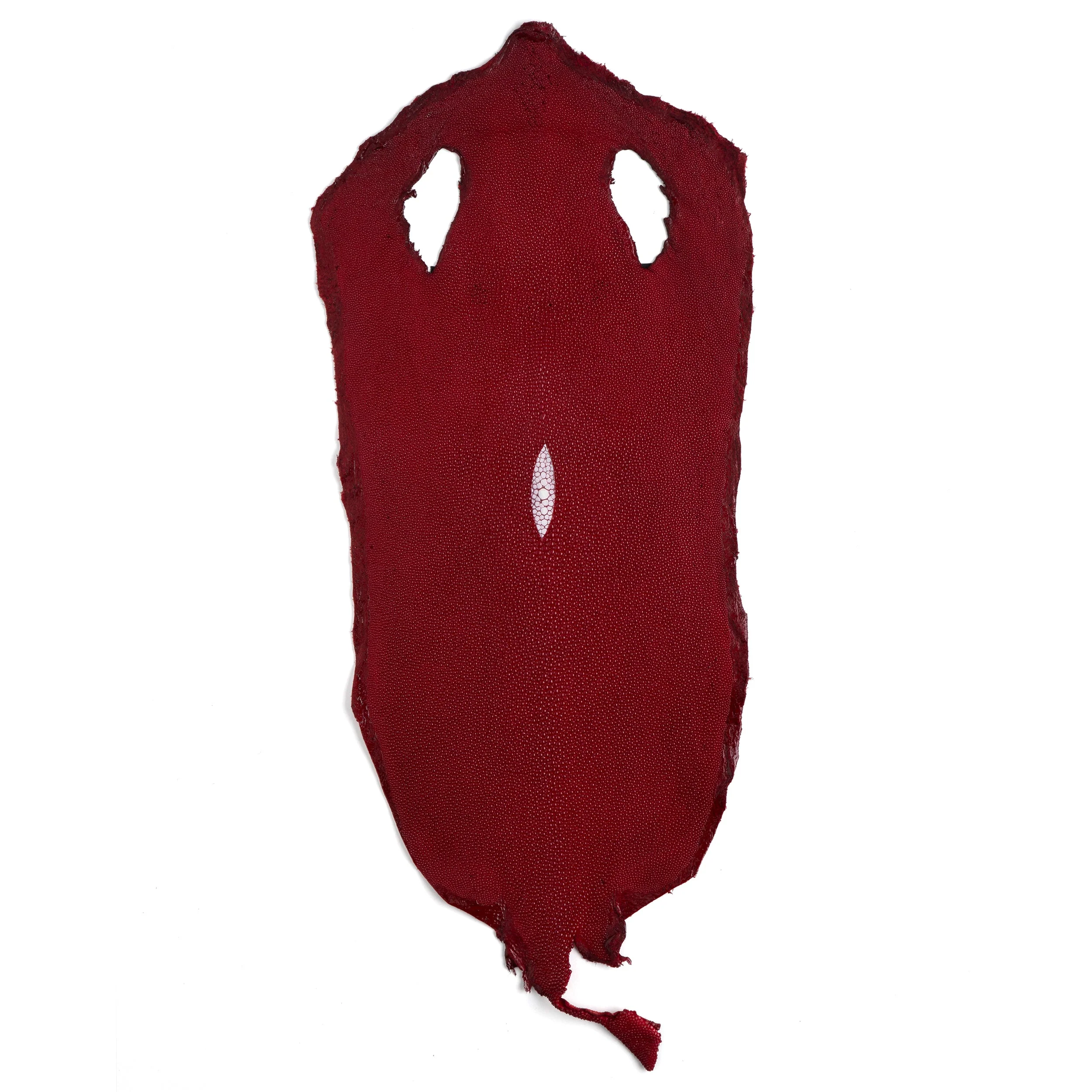 Stingray Small Skin - Image 8