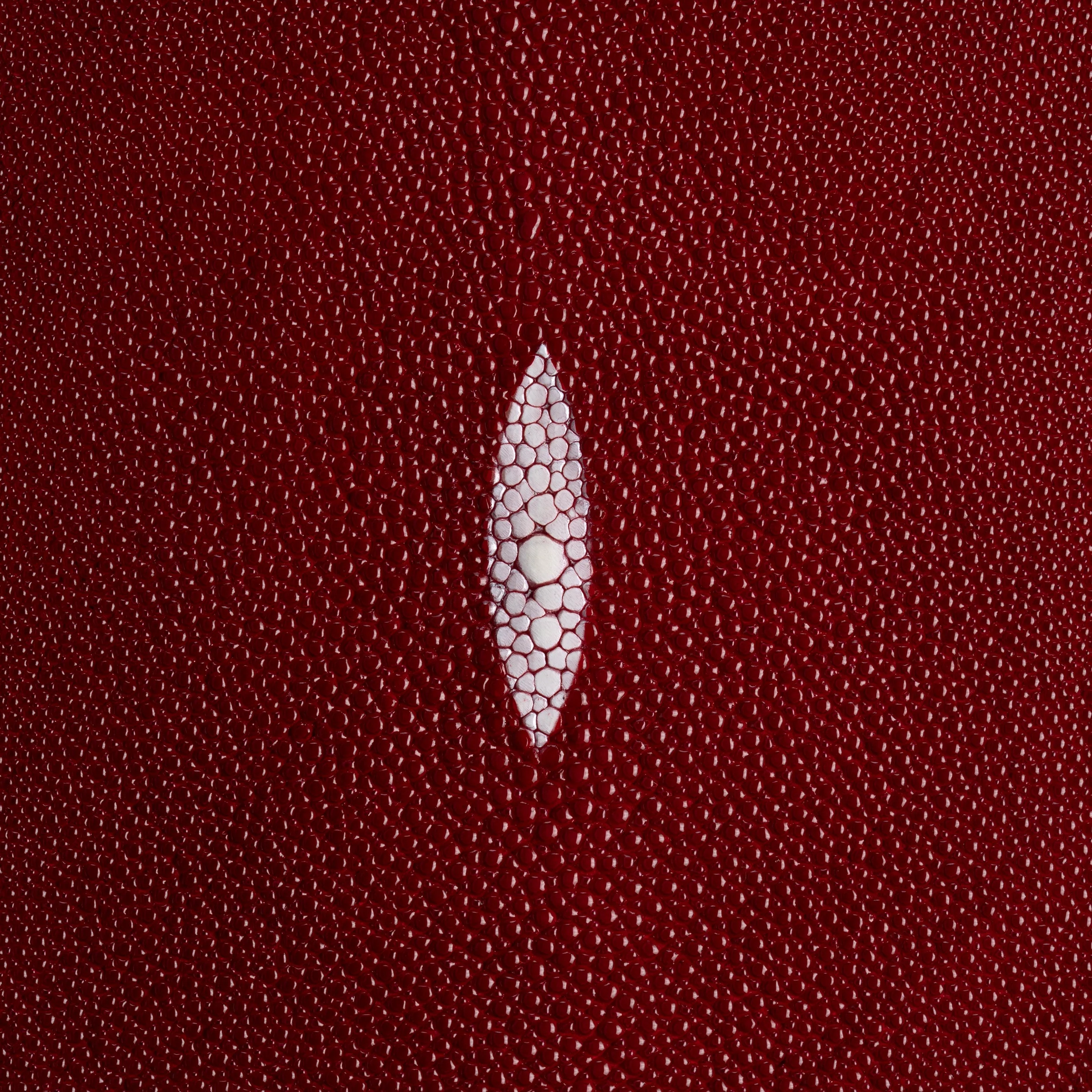 Stingray Small Skin - Image 9
