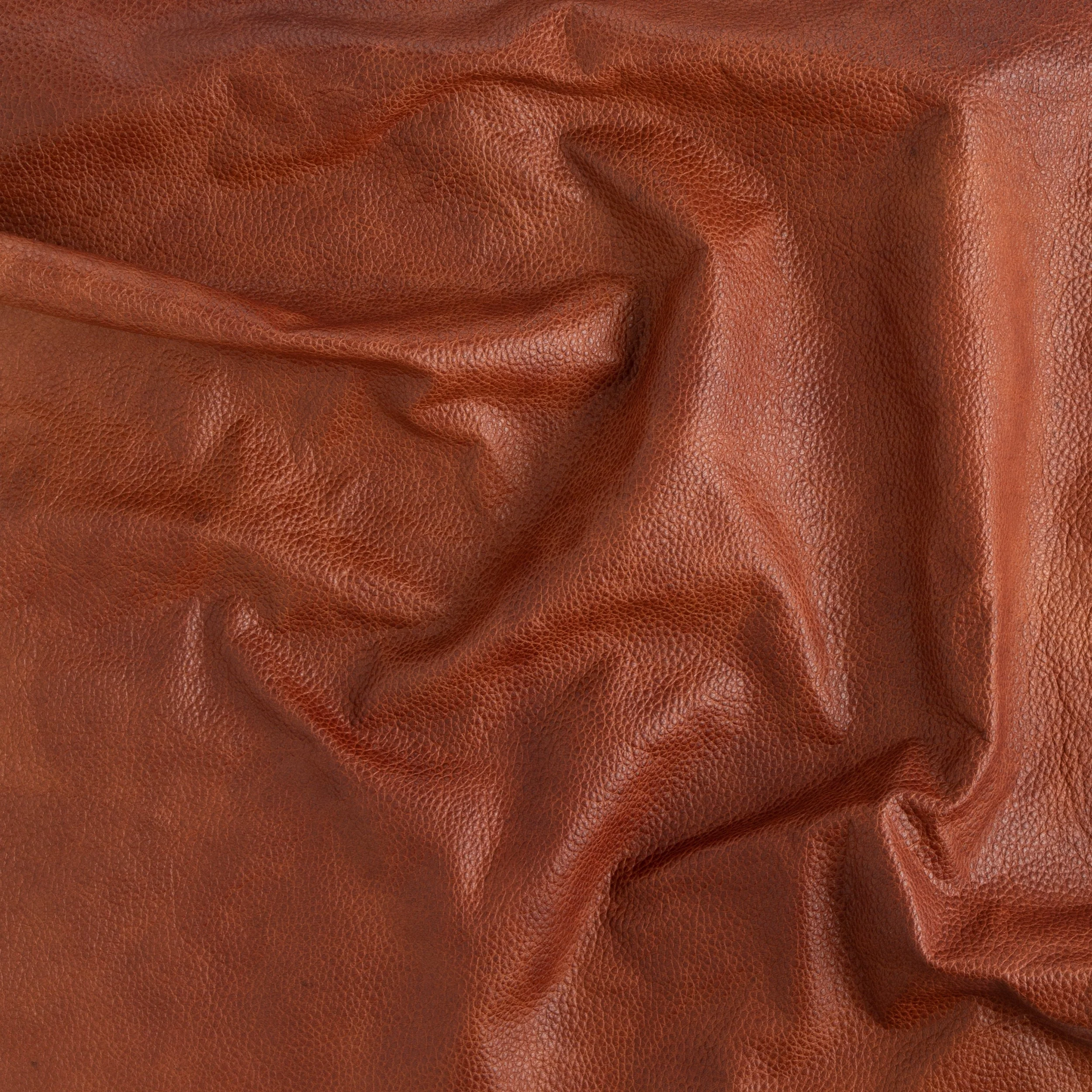 Topeka Small Skin - Image 3