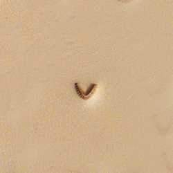 U858 Craftool® Mulefoot Stamp