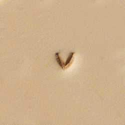 U859 Craftool® Mulefoot Stamp