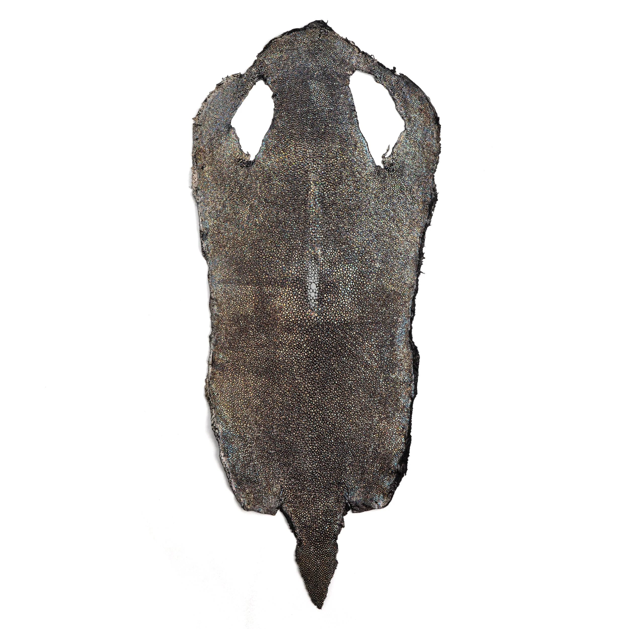 Metallic Stingray Skin - Image 15