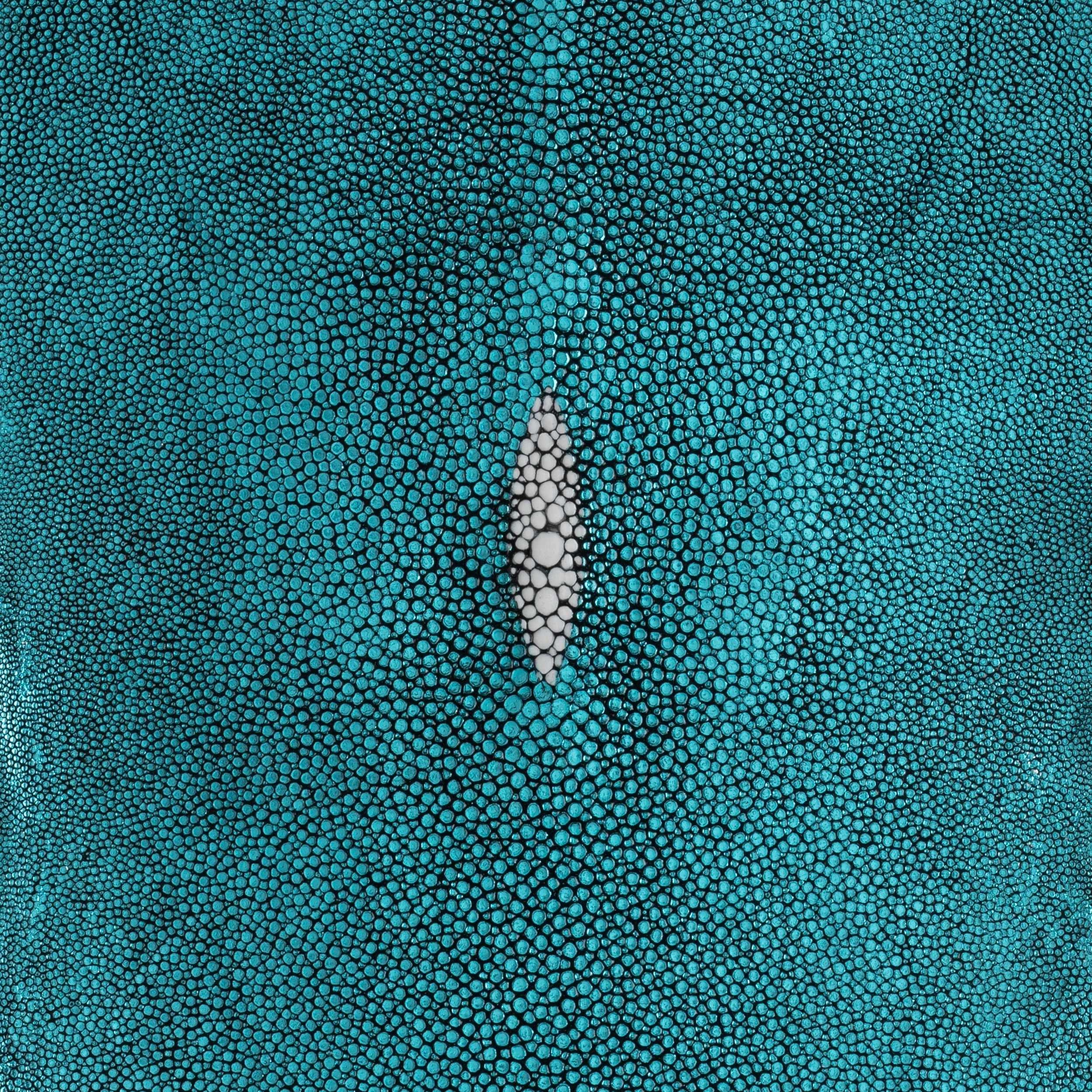 Metallic Stingray Skin - Image 8